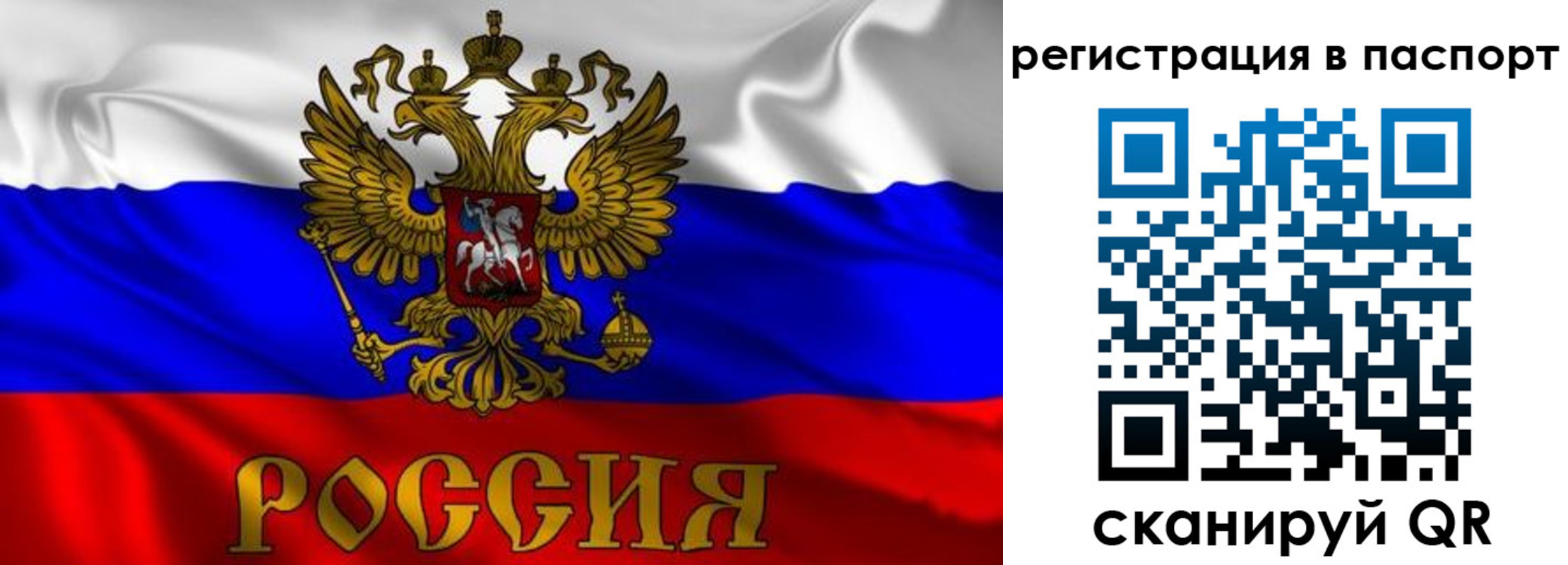 найти адрес прописки в Камышлове